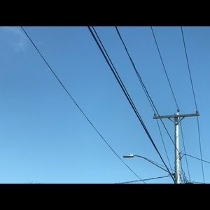 Meet your Posher, Oscar